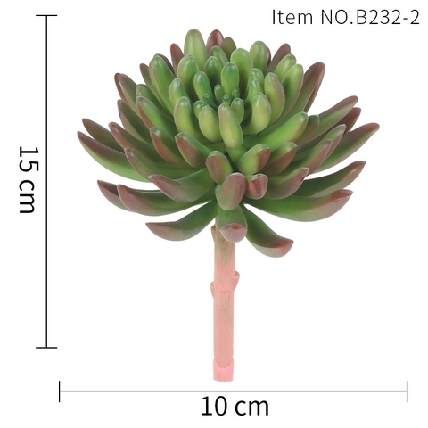Cành sen đá nhiều cánh tròn 15cm