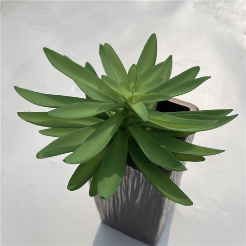 Chậu sen đá tai mèo giả 16cm
