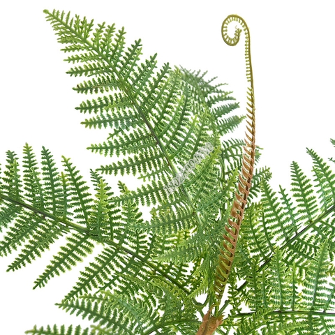 Cành dương sỉ rễ vòi giả 40cm