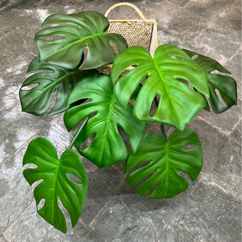 Cành lá cao su 7 nhánh 80cm
