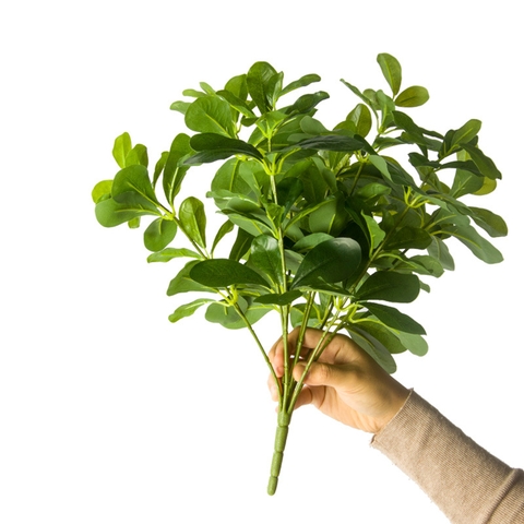 Cành ngũ gia bì giả 40cm (xanh , trắng)
