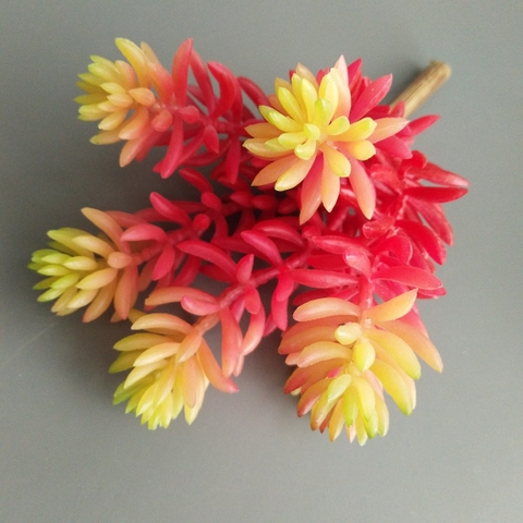 Cành sen đá tép bưởi giả 13cm