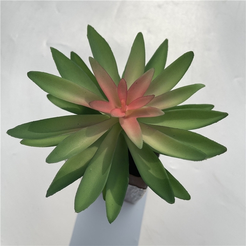 Cành sen đá tai mèo giả 16cm