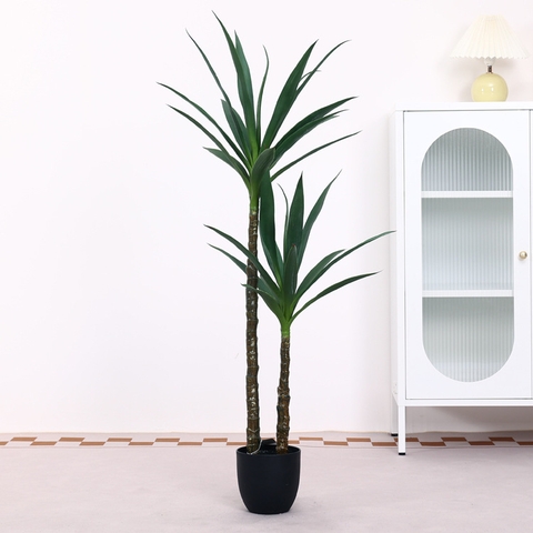 CHẬU CÂY PHÁT TÀI NÚI GIẢ 1M2 KÈM CHẬU XI