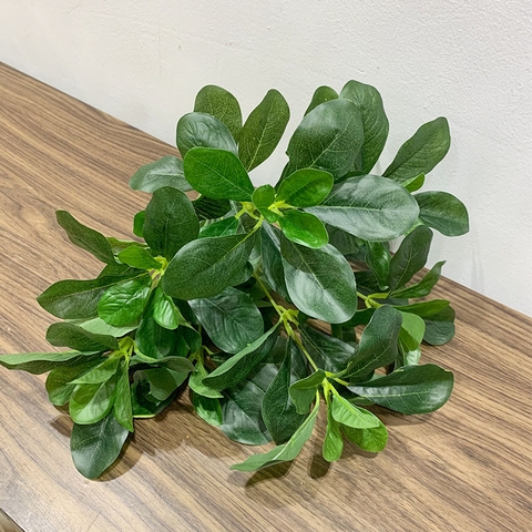 Cành ngũ gia bì giả 40cm (xanh , trắng)