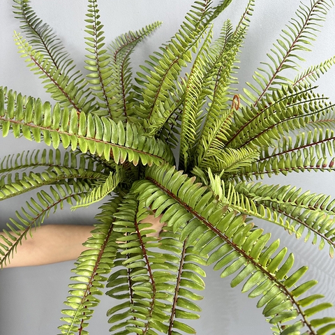 Cành dương sỉ cổ đại 11 nhánh 45cm