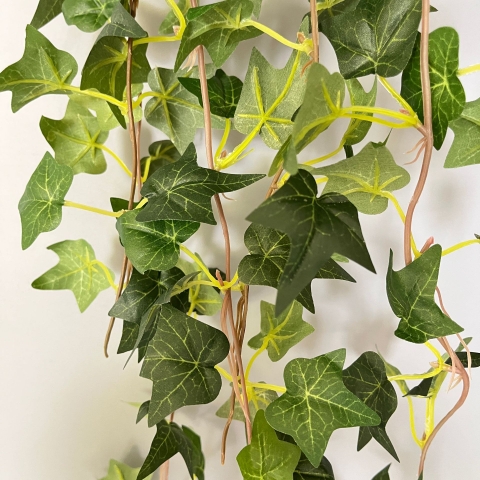 Chậu thường xuân rủ giả 70cm