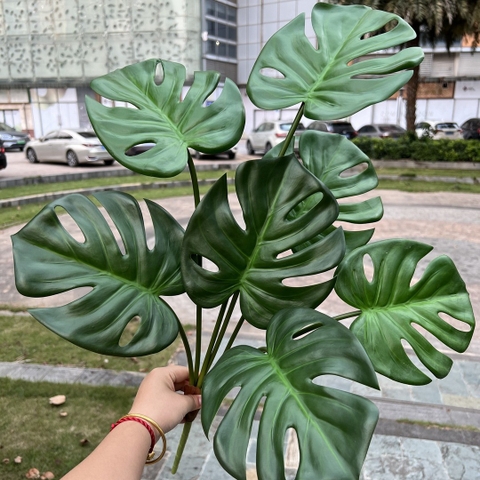 Cành lá cao su 7 nhánh 80cm