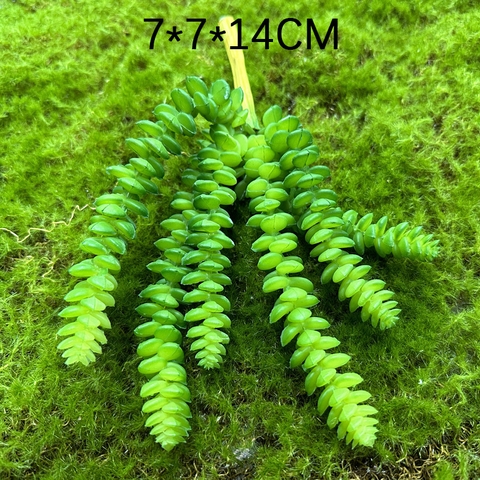 Cành sen đá cỏ tiền giả 6 nhánh
