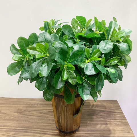 Cành ngũ gia bì giả 40cm (xanh , trắng)