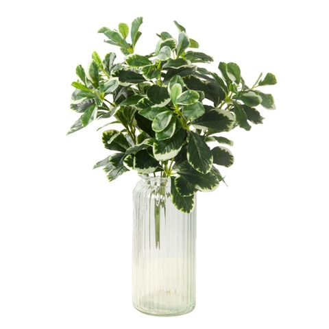 Cành ngũ gia bì giả 40cm (xanh , trắng)