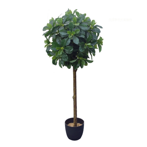 CÂY NGÂU GIẢ TRANG TRÍ HẰNG DECOR (80CM-1M-1M2)