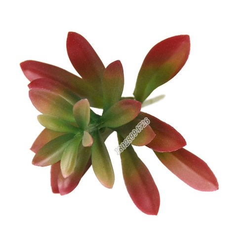 Cành sen đá mầm giả cao 15cm
