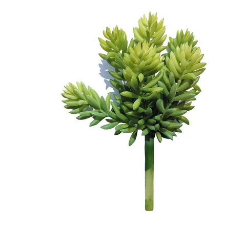 Cành sen đá tép bưởi giả 13cm