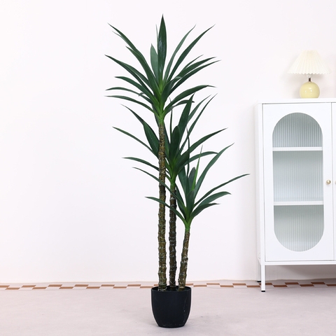 CHẬU CÂY PHÁT TÀI NÚI GIẢ 1M4 KÈM CHẬU GỐM TRẮNG