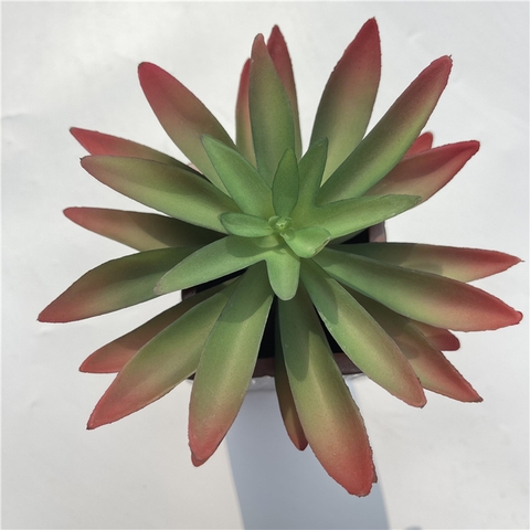 Cành sen đá tai mèo giả 16cm