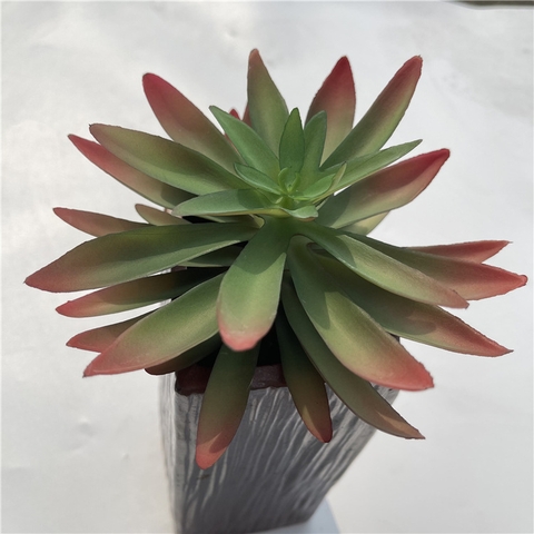 Cành sen đá tai mèo giả 16cm