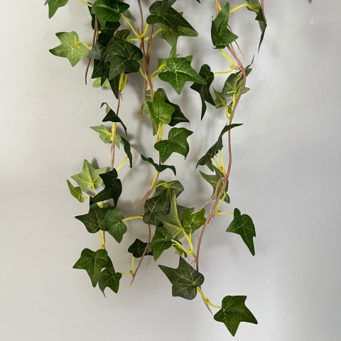 Chậu thường xuân rủ giả 70cm