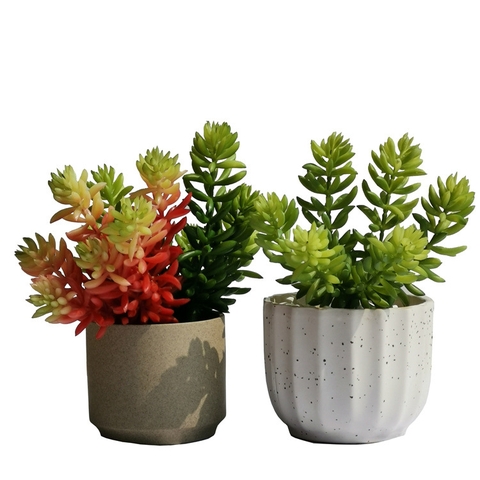 Cành sen đá tép bưởi giả 13cm