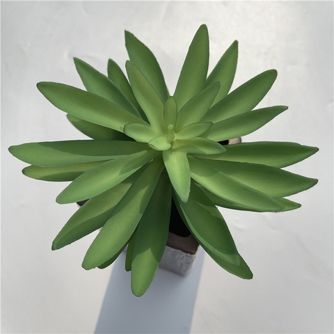 Cành sen đá tai mèo giả 16cm