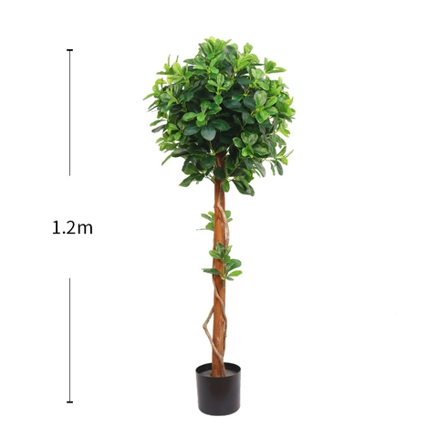 CÂY NGÂU GIẢ TRANG TRÍ HẰNG DECOR (80CM-1M-1M2)