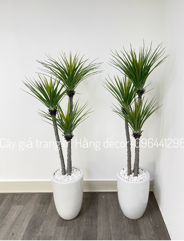 CÂY PHÁT TÀI NÚI THÂN TRẮNG GIẢ HẰNG DECOR (1M1, 1M4)