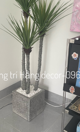 CÂY PHÁT TÀI NÚI THÂN TRẮNG GIẢ HẰNG DECOR (1M1, 1M4)