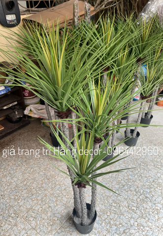 CÂY PHÁT TÀI NÚI THÂN TRẮNG GIẢ HẰNG DECOR (1M1, 1M4)