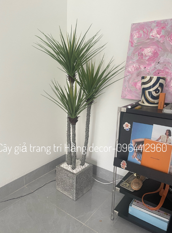 CÂY PHÁT TÀI NÚI THÂN TRẮNG GIẢ HẰNG DECOR (1M1, 1M4)