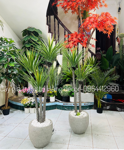 CÂY PHÁT TÀI NÚI THÂN TRẮNG GIẢ HẰNG DECOR (1M1, 1M4)