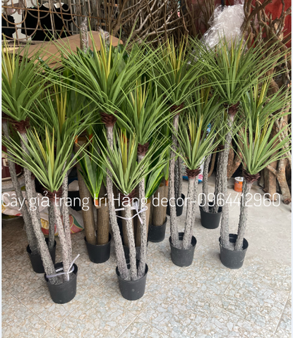 CÂY PHÁT TÀI NÚI THÂN TRẮNG GIẢ HẰNG DECOR (1M1, 1M4)