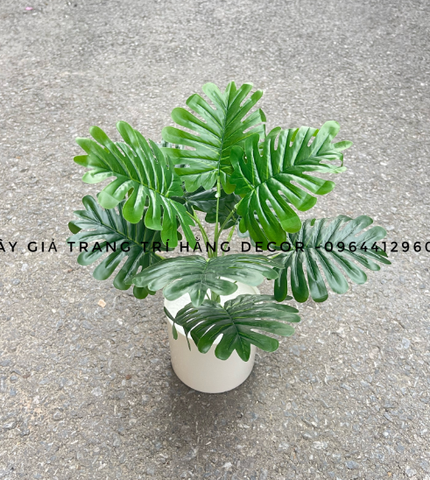 CHẬU CÂY ĐỂ BÀN 9 LÁ 30CM