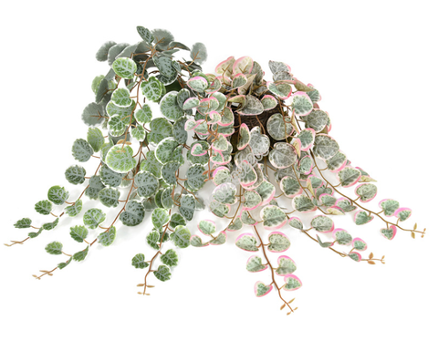 Cành rủ bạch đàn giả 47cm (hồng, xanh)