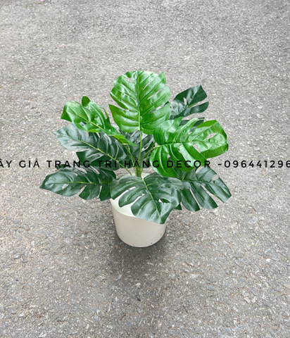 CHẬU CÂY ĐỂ BÀN 9 LÁ 30CM