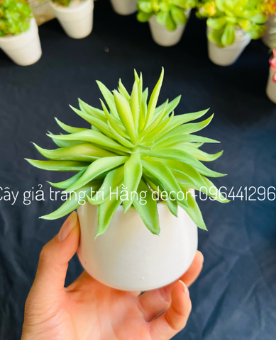 Chậu sen đá lá nhọn giả 15cm