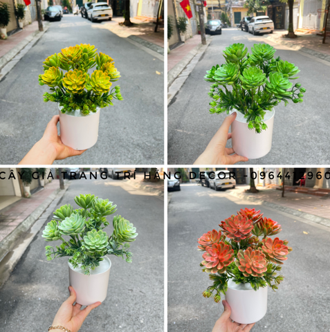 CHẬU CÂY HOA ĐÁ GIẢ ĐẶT BÀN 30CM
