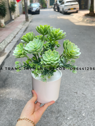 CHẬU CÂY HOA ĐÁ GIẢ ĐẶT BÀN 30CM
