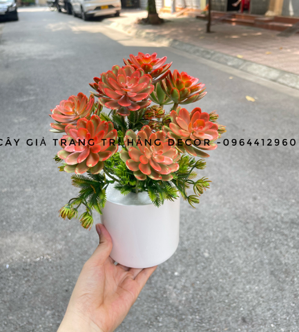 CHẬU CÂY HOA ĐÁ GIẢ ĐẶT BÀN 30CM