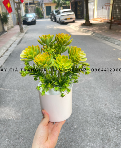 CHẬU CÂY HOA ĐÁ GIẢ ĐẶT BÀN 30CM