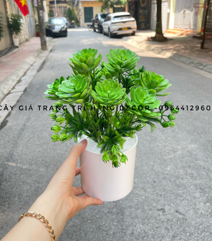 CHẬU CÂY HOA ĐÁ GIẢ ĐẶT BÀN 30CM