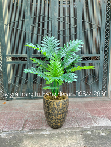 CÂY TRẦU BÀ THANH XUÂN GIẢ HẰNG DECOR 1M1