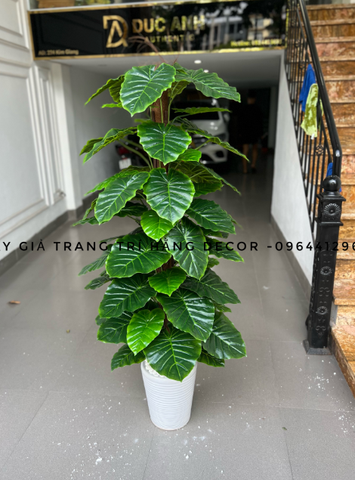 CÂY TRẦU BÀ CỘT HẰNG DECOR  63 LÁ (1M5)