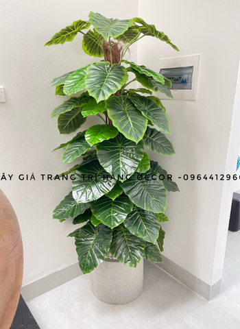 CÂY TRẦU BÀ CỘT HẰNG DECOR  63 LÁ (1M5)