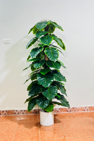 CÂY TRẦU BÀ CỘT HẰNG DECOR  63 LÁ (1M5)