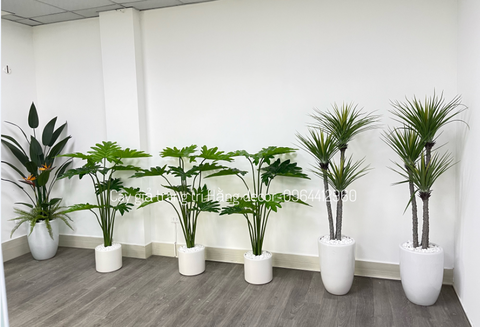 CÂY TRẦU BÀ THANH XUÂN GIẢ HẰNG DECOR 1M3