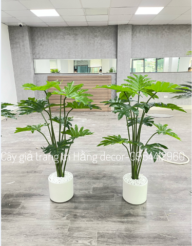 CÂY TRẦU BÀ THANH XUÂN GIẢ HẰNG DECOR 1M3