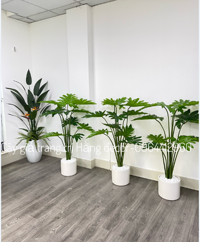 CÂY TRẦU BÀ THANH XUÂN GIẢ HẰNG DECOR 1M3