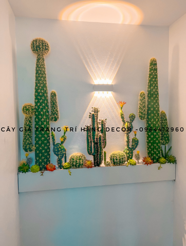 SÉT TIỂU CẢNH XƯƠNG RỒNG 30X2M