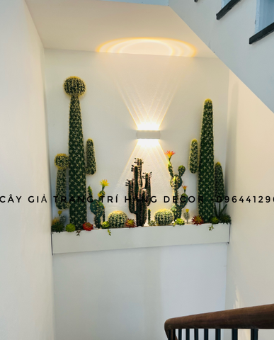 SÉT TIỂU CẢNH XƯƠNG RỒNG 30X2M