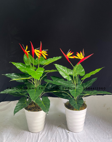 CÂY HOA THIÊN ĐIỂU GIẢ 60CM-70CM